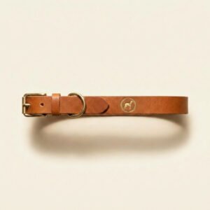 collar — Slate Hound Co.