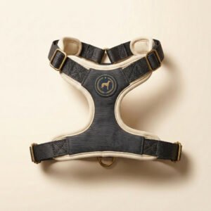 harness — Slate Hound Co.